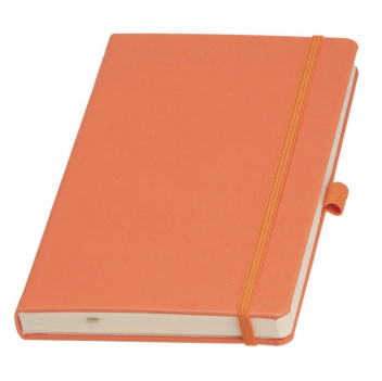 записная книжка туксон а5 (ivory line)