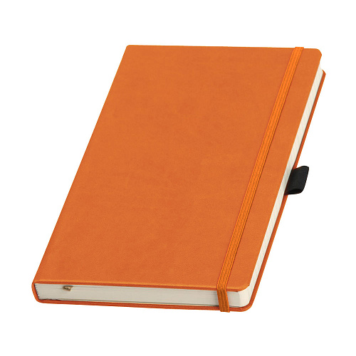 записная книжка туксон а5 (ivory line)